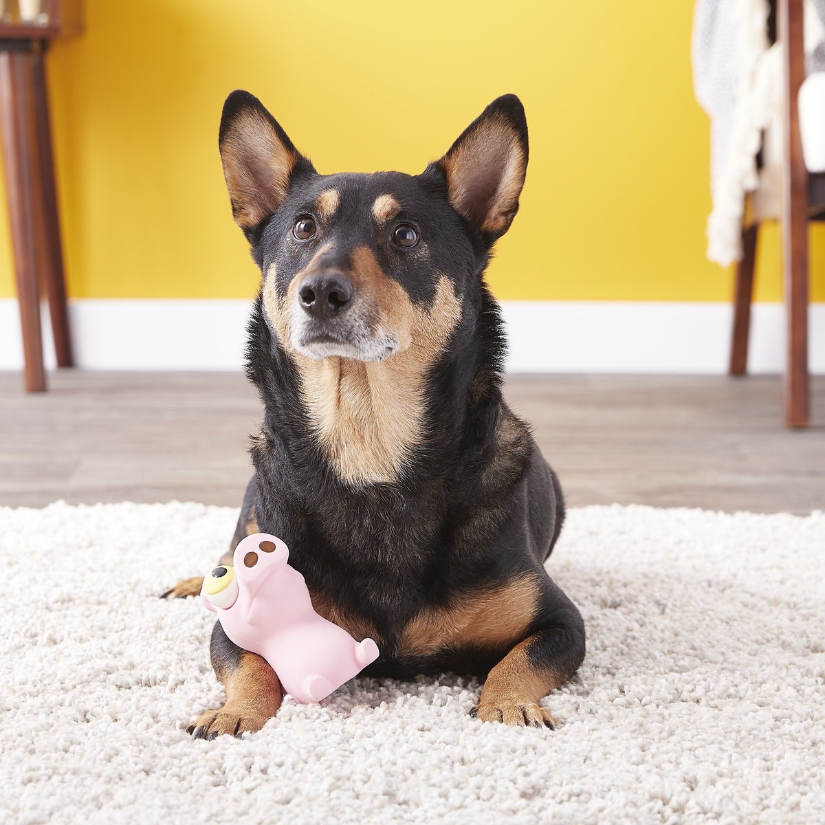 Hartz Bug Eyes Squeak Latex Dog Toy， Character Varies