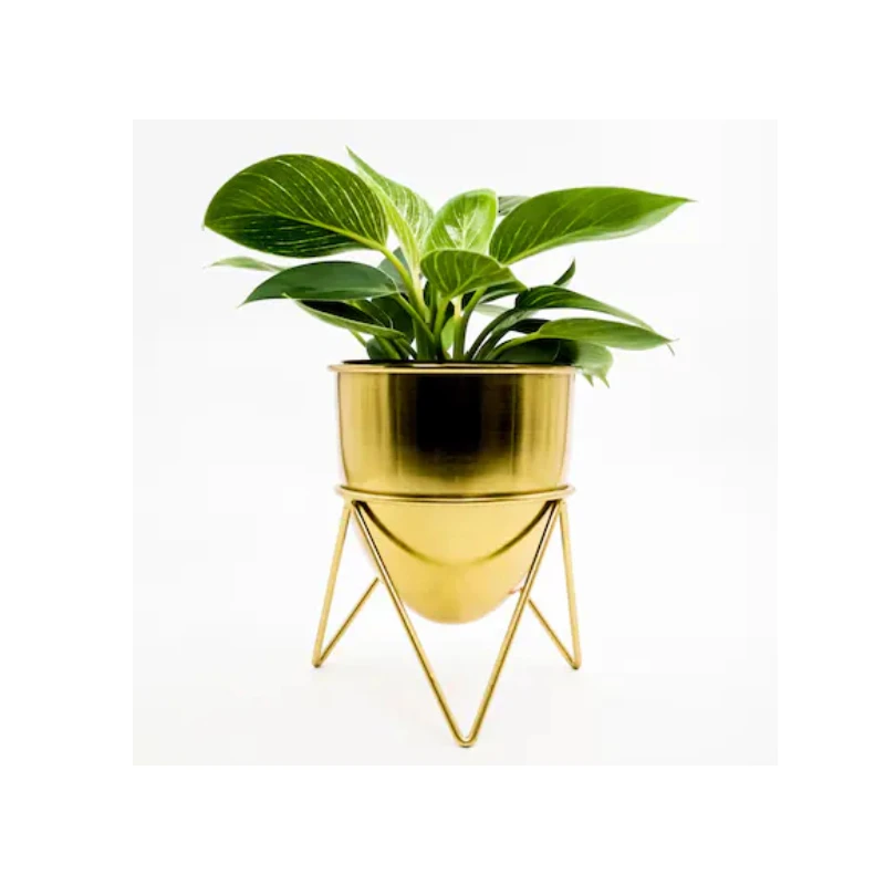 Best Selling Garden Supplies Antique Cheap Planter Unique Indoor Decoration Plant Pots Buy From Indian Supplier