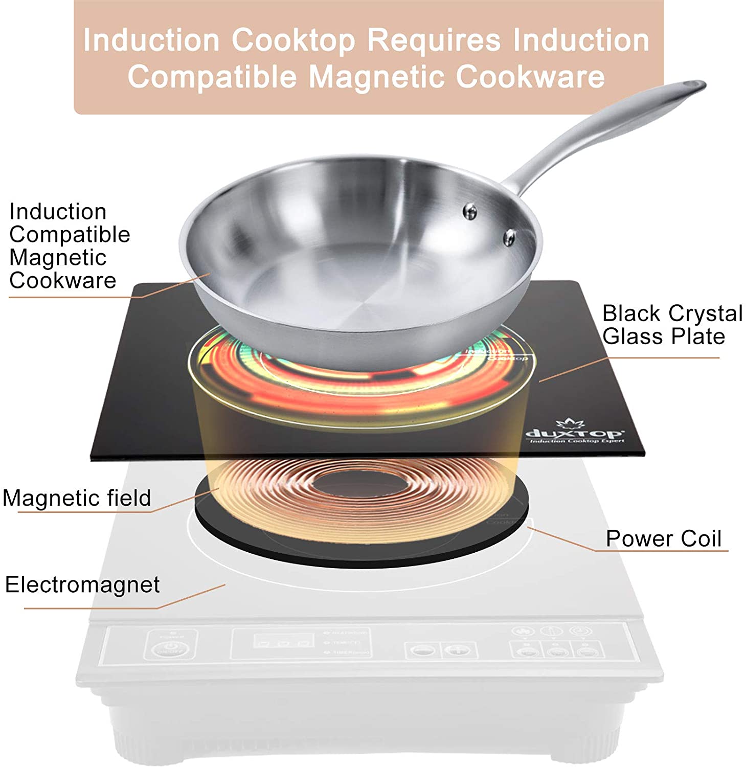 Duxtop 1800W Portable Induction Cooktop Countertop Burner， Gold 8100MC/BT-180G3