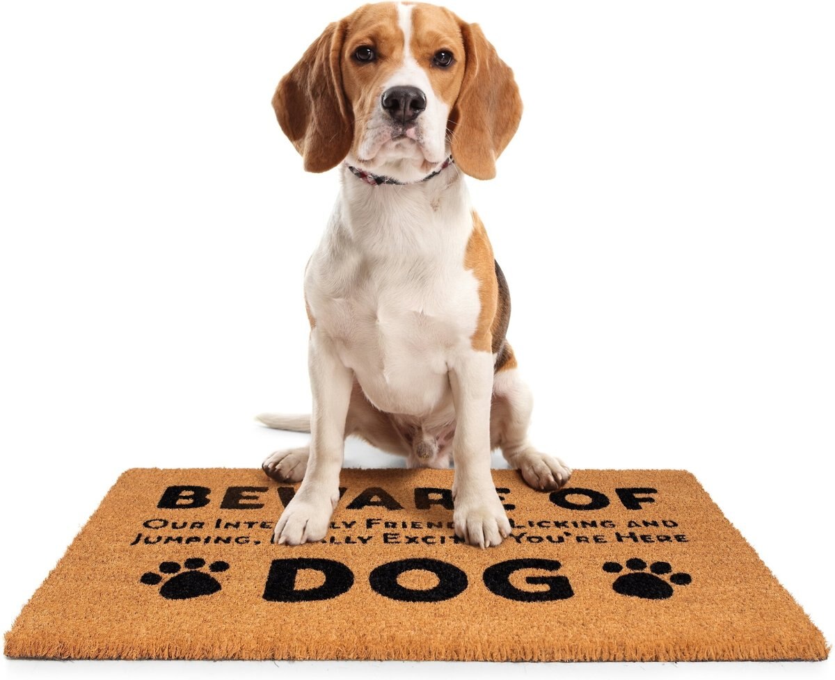 BirdRock Home Beware of Dog' Coir Doormat