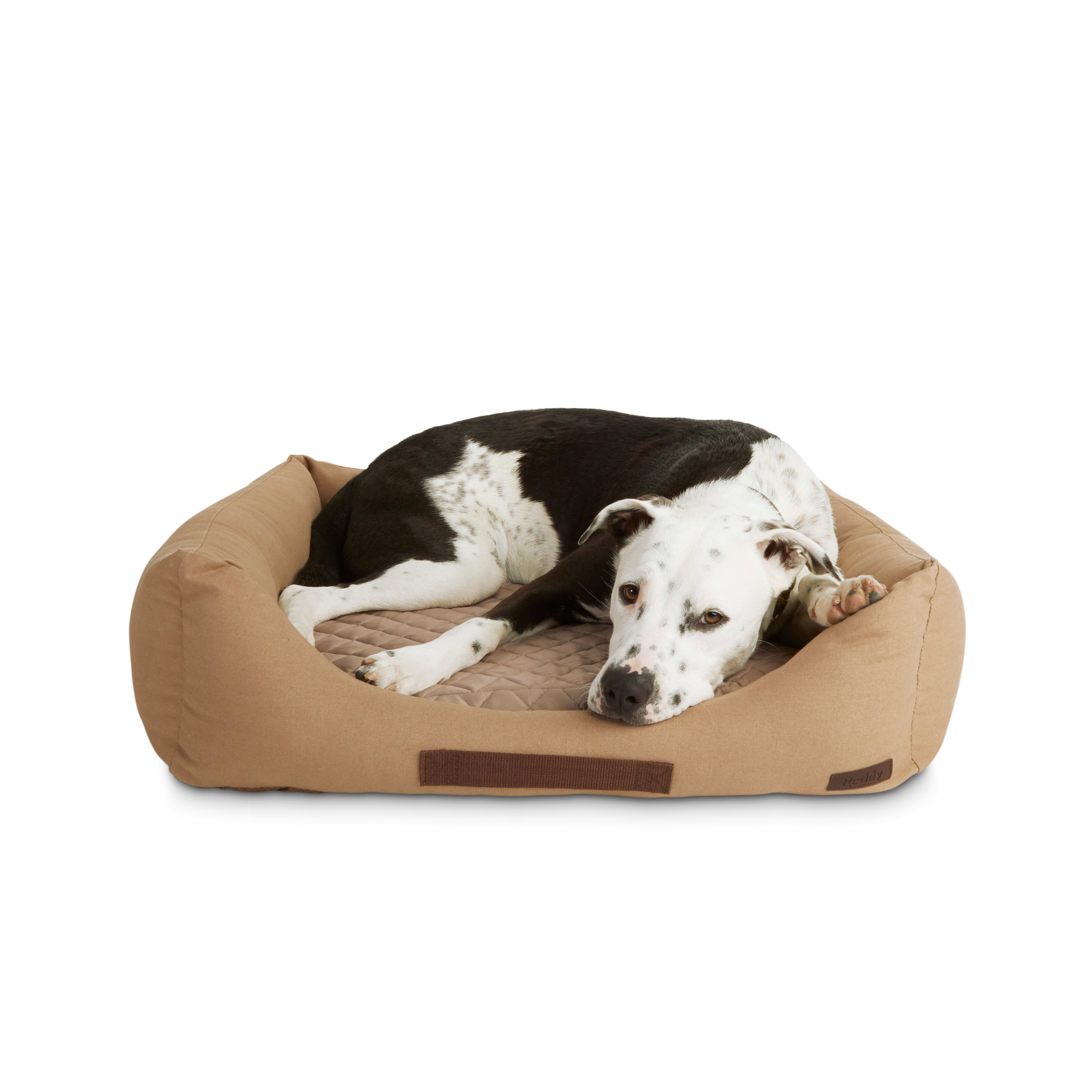 Reddy Canvas Cozy  Cool-Touch Dog Bed， 28