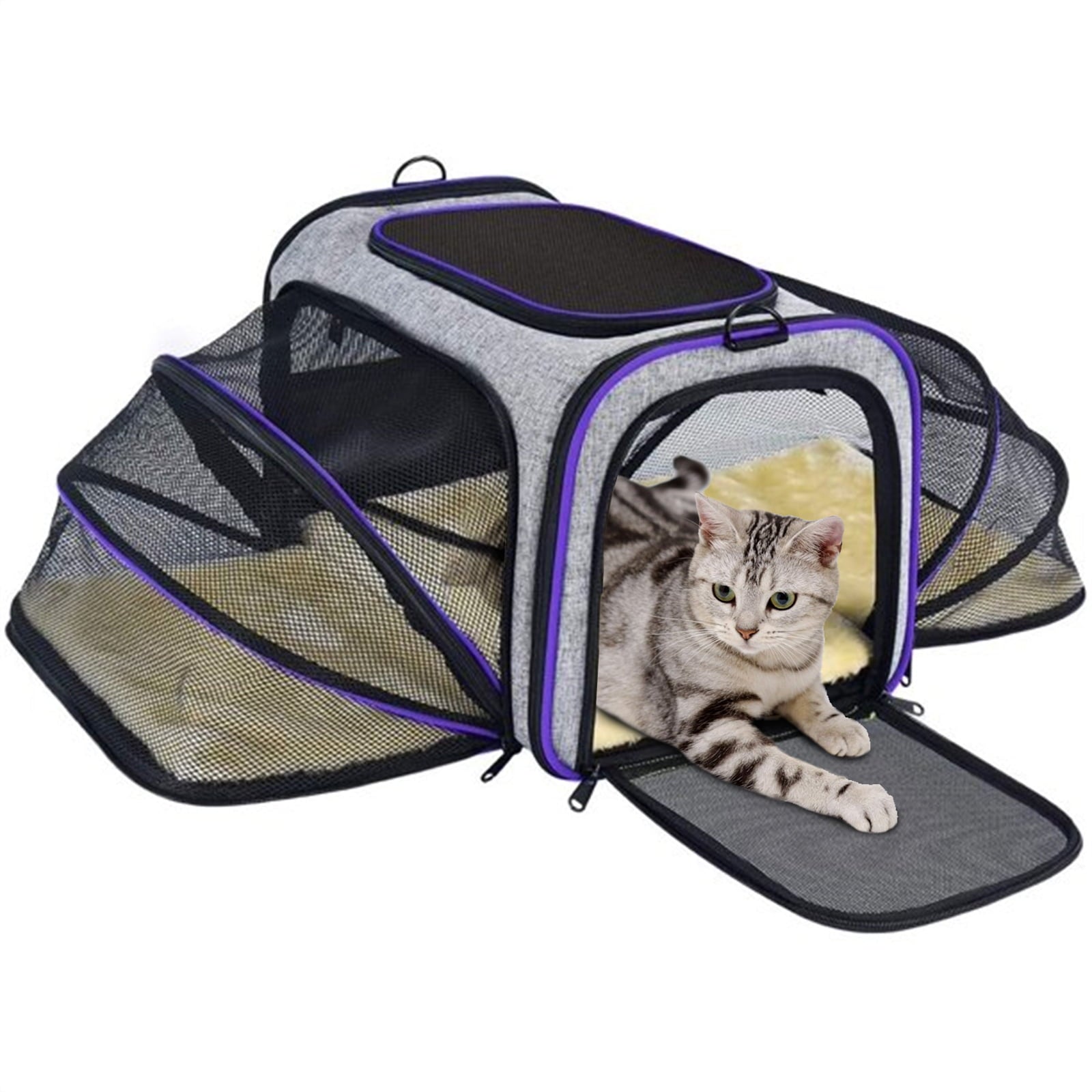 Pet Carrier for Small Medium Cats Dogs Puppies of 20 Lbs， TSA Airline Approved with Ventilation， Big Space 5 Mesh Windows 4 Open Doors