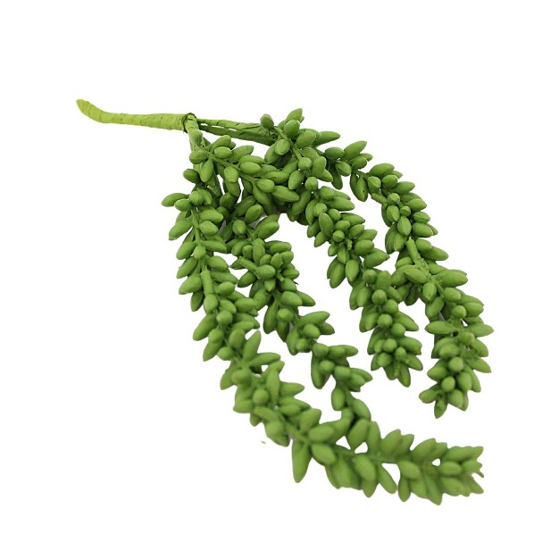 Designs Combined Inc Succulant Hanging Spray One Plant Spray 7 Inches String Pearls Plant Kn609 Plastic Green