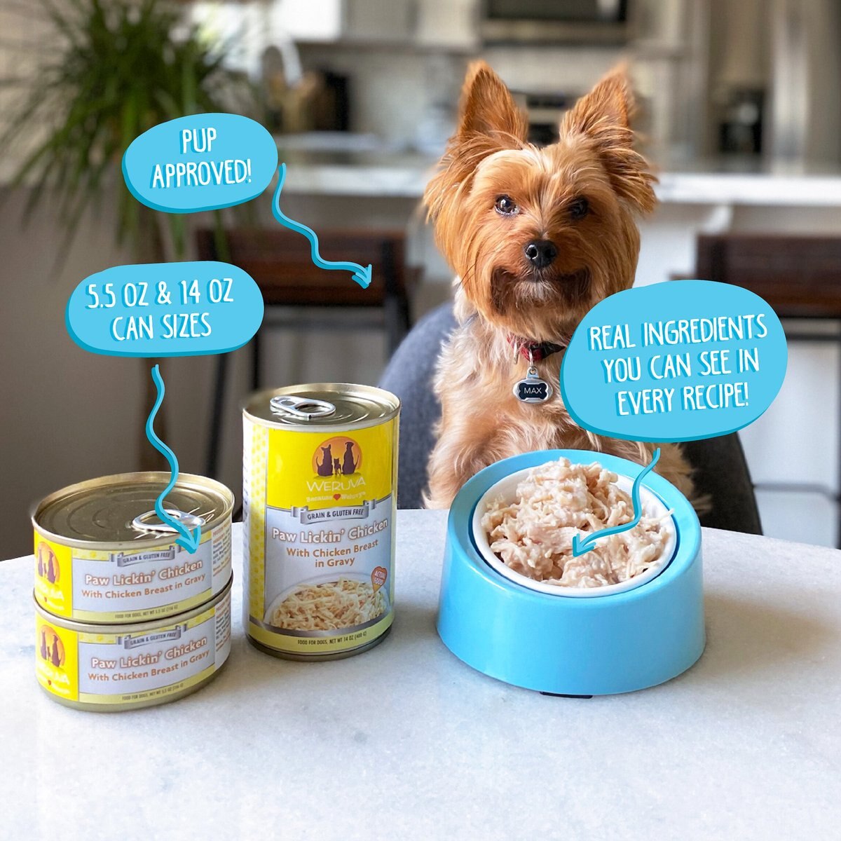 Weruva Wok the Dog with Chicken， Beef and Pumpkin in Gravy Grain-Free Canned Dog Food