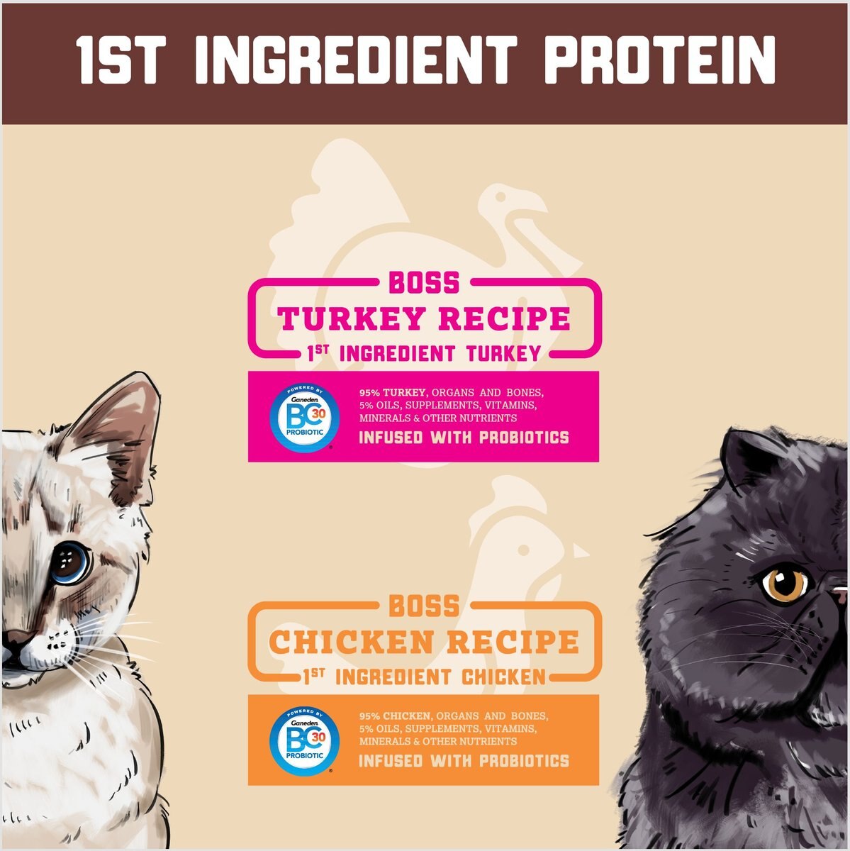 Boss Cat Complete and Balanced Raw Diet Turkey Recipe Freeze-Dried Cat Food， 9-oz bag