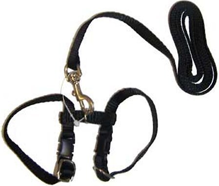 Marshall Harness and Lead Ferret Leash