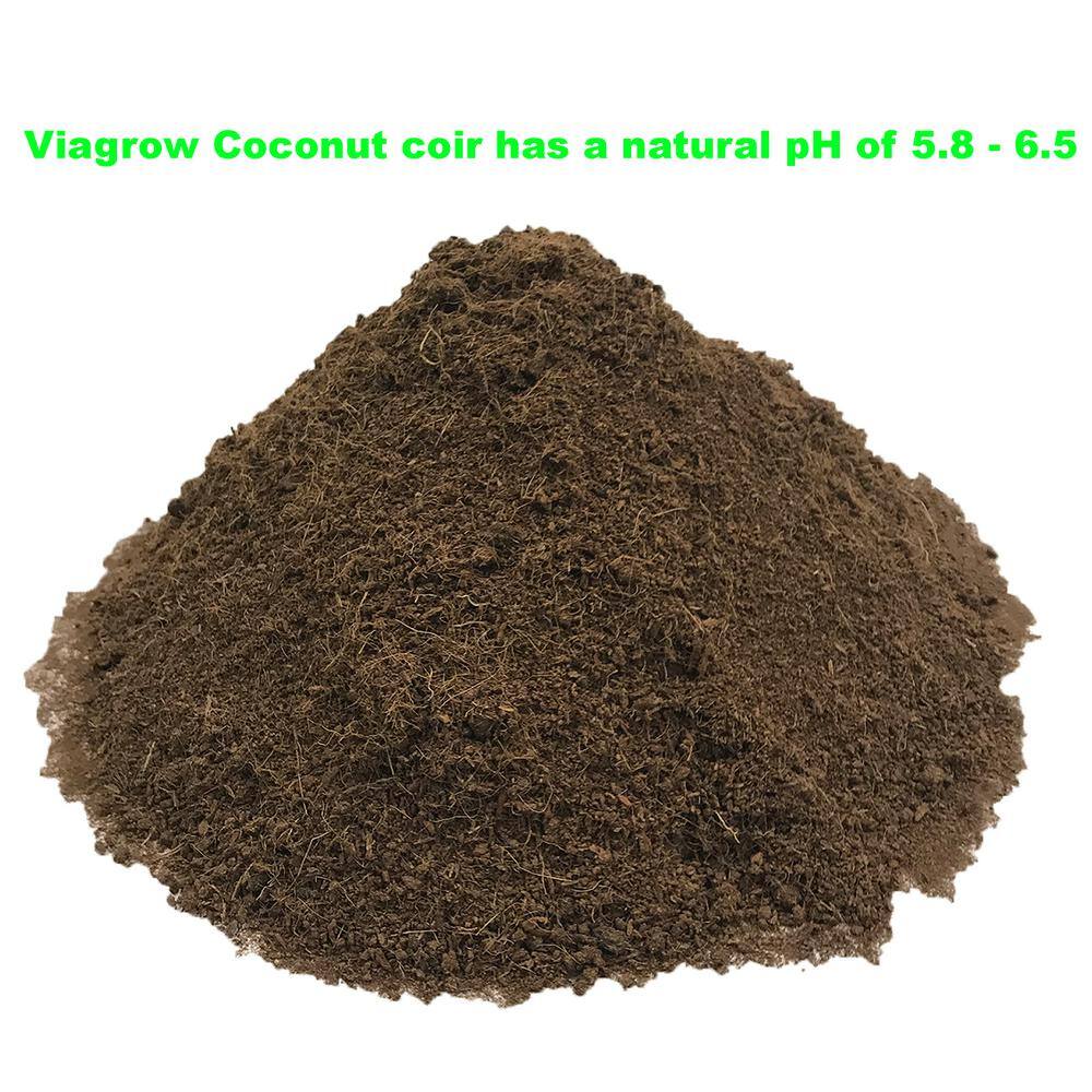 Viagrow 1.4 lbs.650g Premium Coco Coir Soilless Grow Media Coconut Coir Brick VCCB650