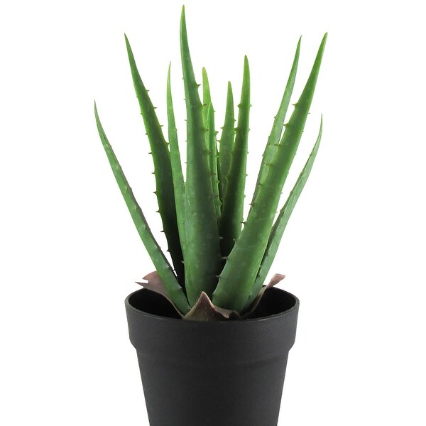 13.5in Artificial Real Touch Soft Aloe Succulent Plant in Black Pot