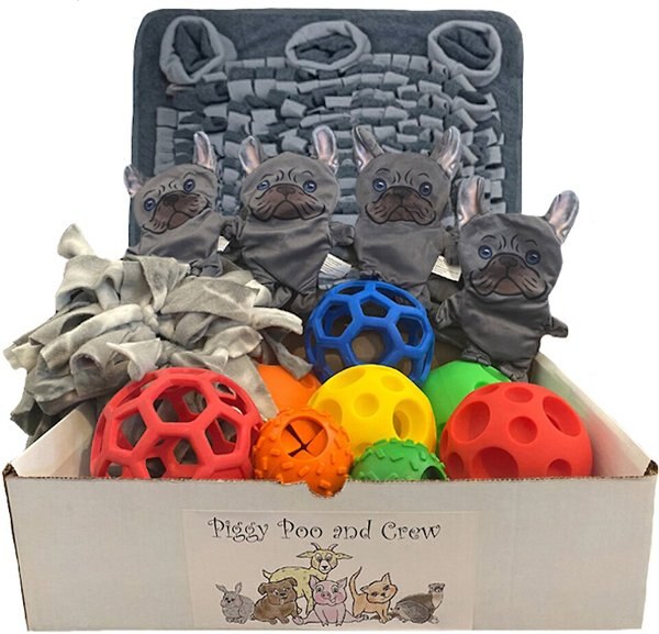 Piggy Poo and Crew Pet Activity Ball Box， 18 X 20-in