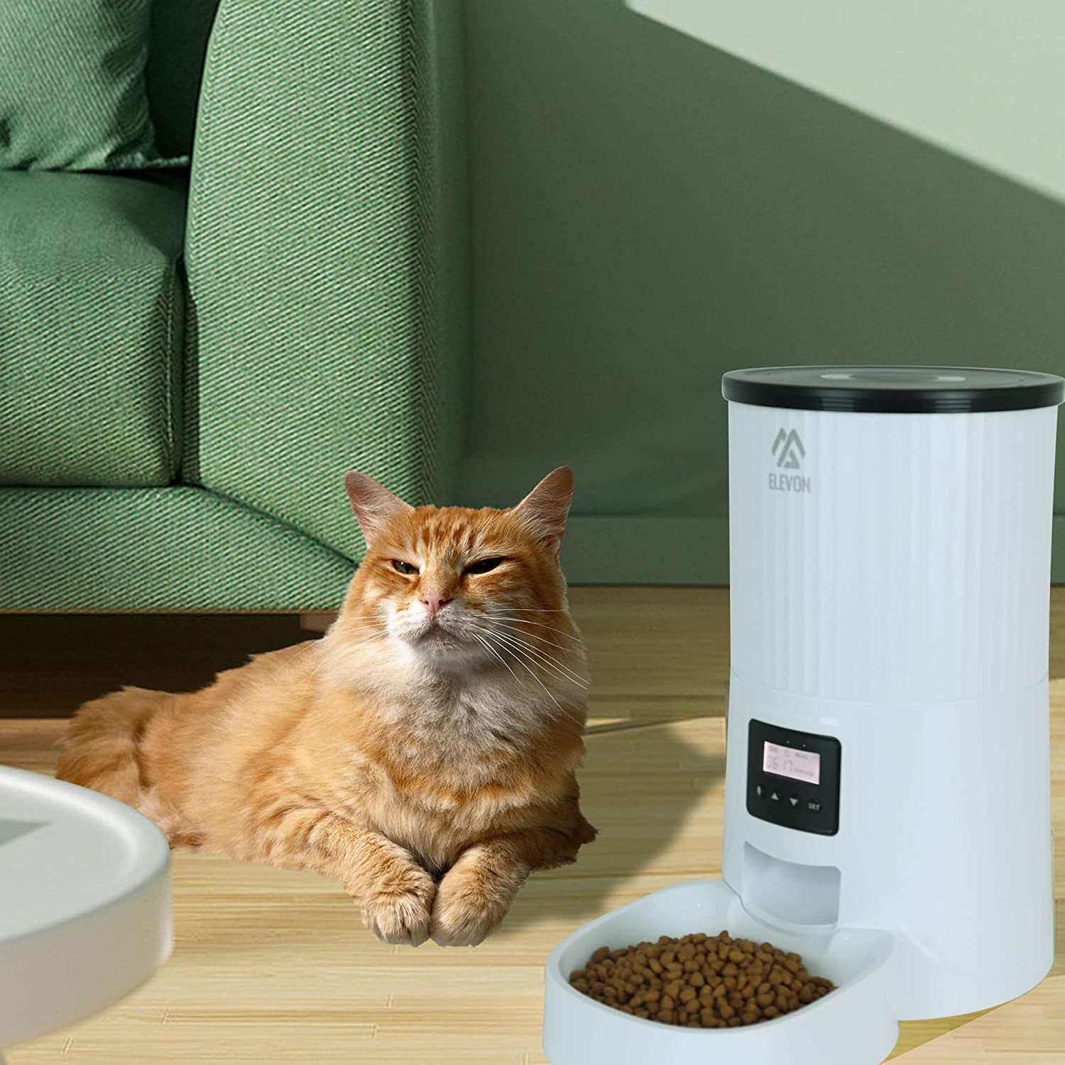 BalanceFrom 4L 1.05 Gallon Automatic Pet Feeder Food Dispenser， Auto Dog Food Dispenser， Voice Recorder and Programmable Timed Cat Feeder