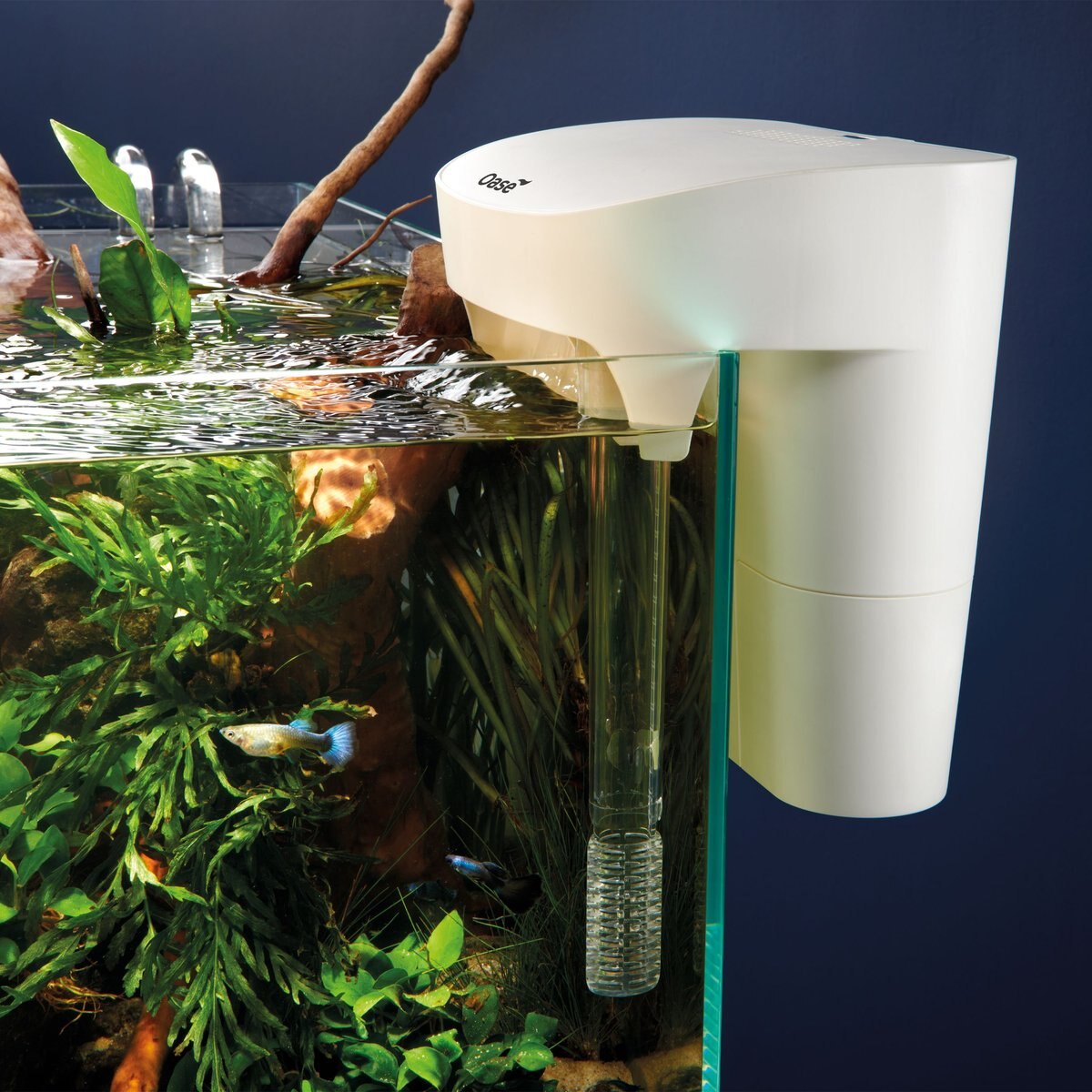 OASE Indoor Aquatics Biostyle 30 Fish Filter， White