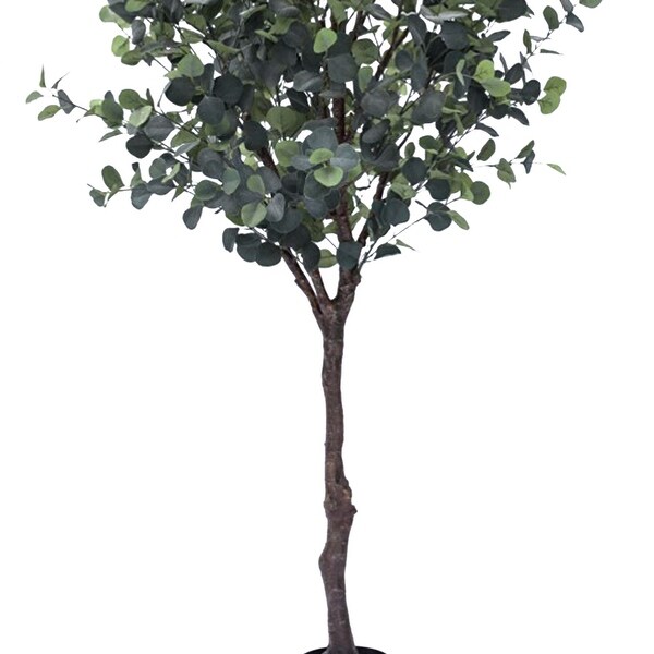 7ft Frosted Green Artificial Silver Dollar Eucalyptus Tree Plant in Black Pot