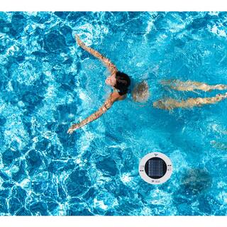 Sun Shock Chlorine-Free Pool Ionizer and Purifier RSI-1000