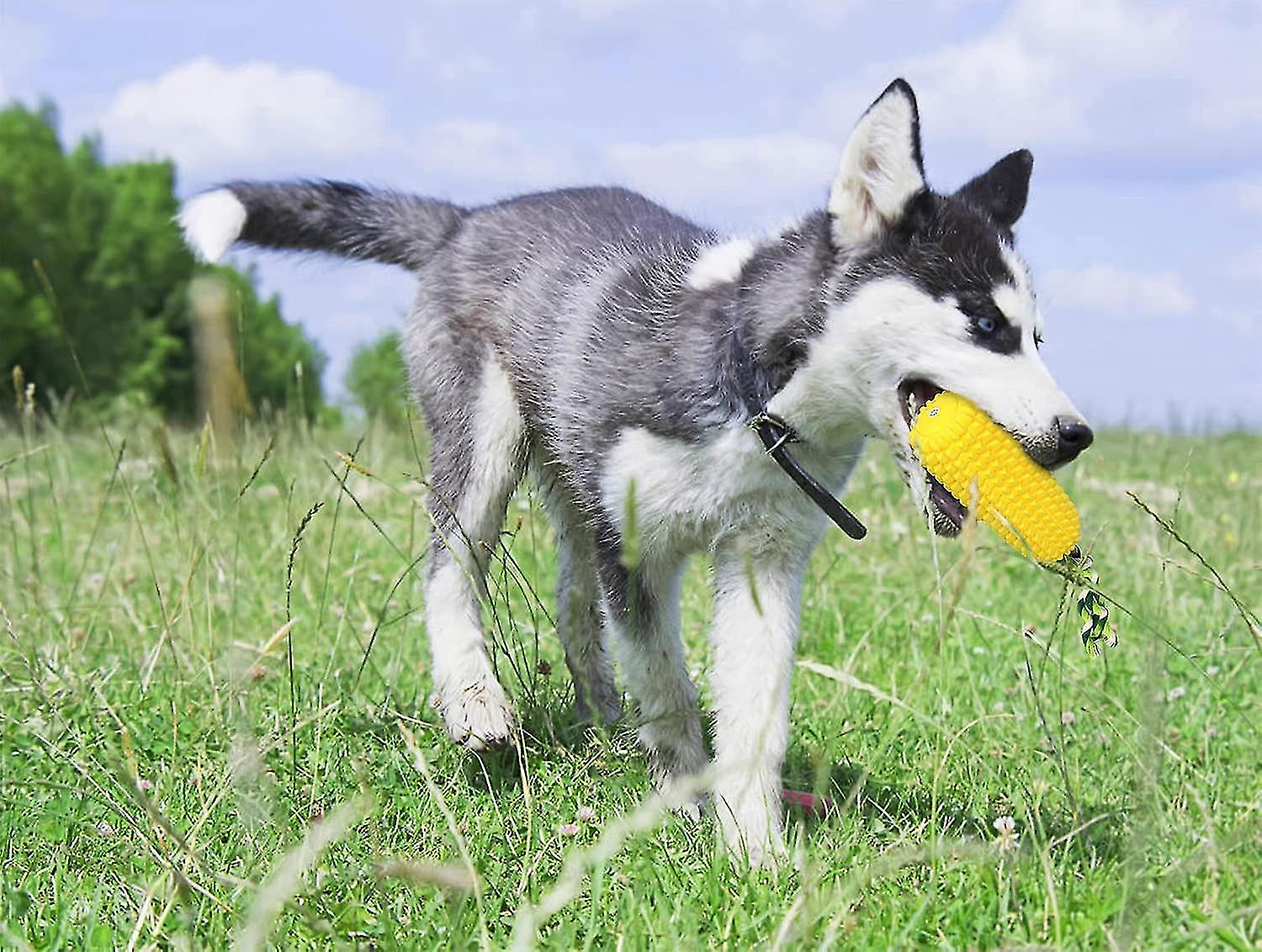 Puppy Toys， Dog Chew Toys For Aggressive Chewers Medium Large Breed， Indestructible Tough Squeaky Corn Toys For Teething Boredom(yellow)