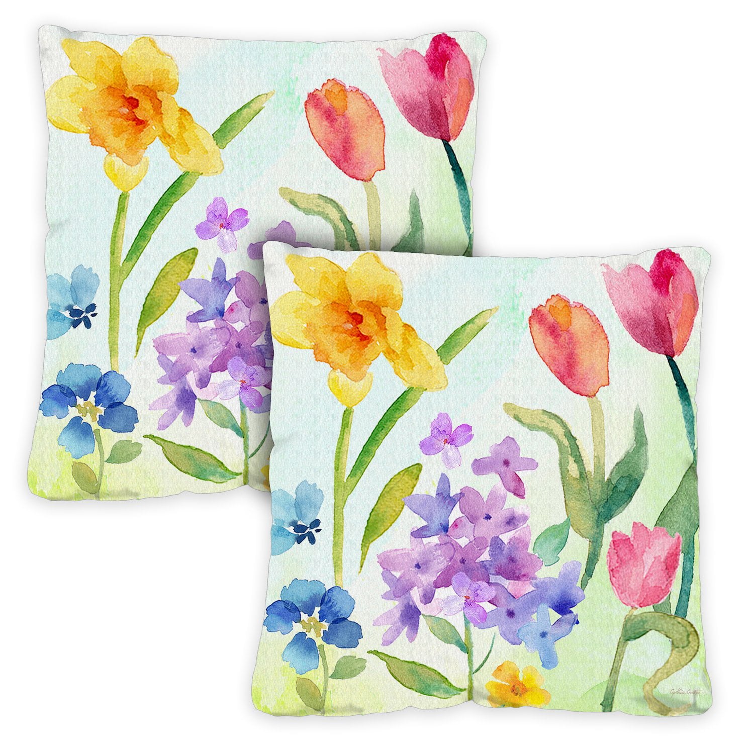 Toland Home Garden Set of 2 Spring Watercolors Spring Pillow Covers 18x18 Inch Flower Throw Pillows