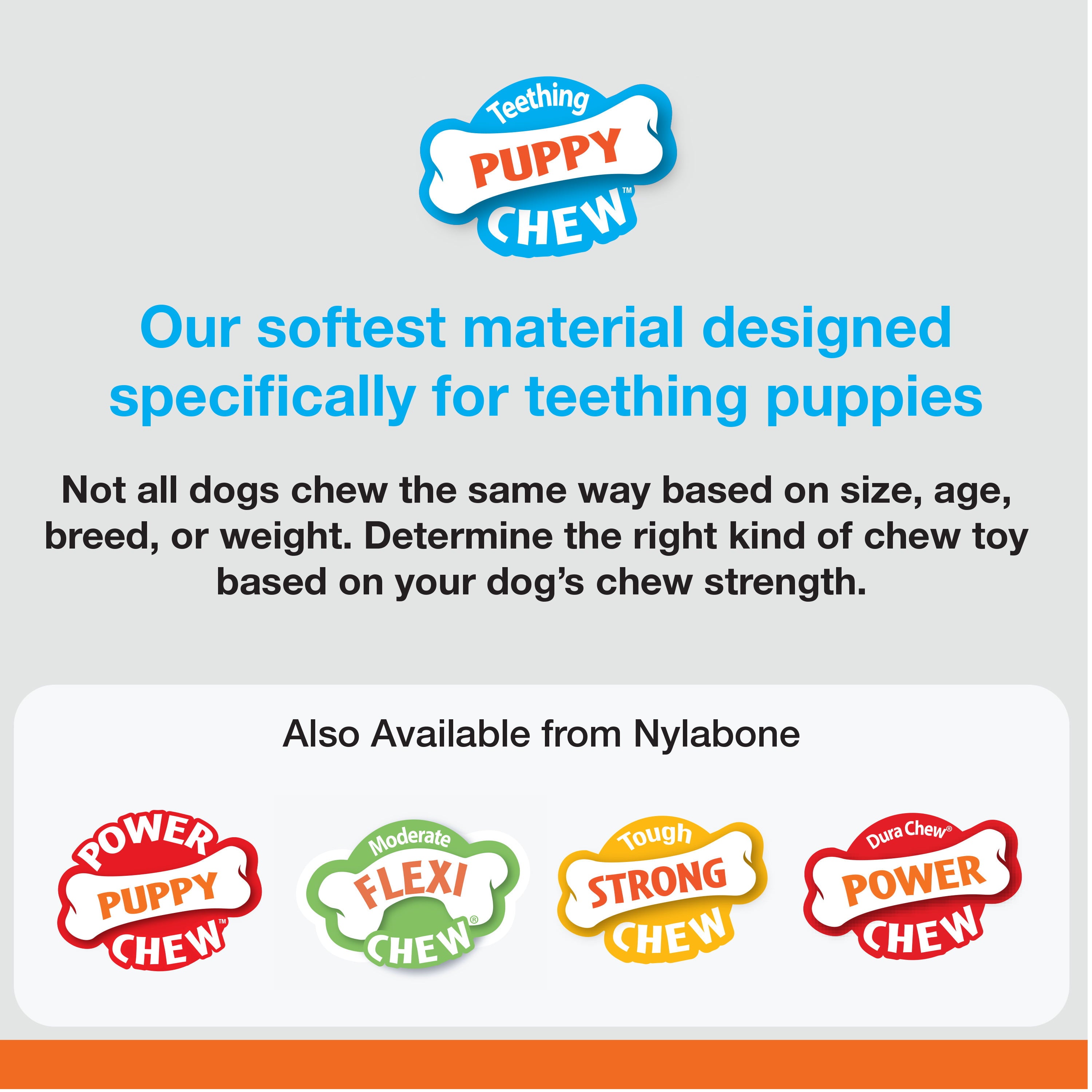 Nylabone Just for Puppies Teething Chew Toy Keys Bacon Medium/Wolf (1 Count)