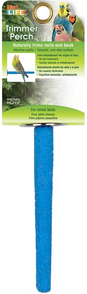 Bird Life Bird Perch， Assorted Pastel Colors， 5 x 0.5-in