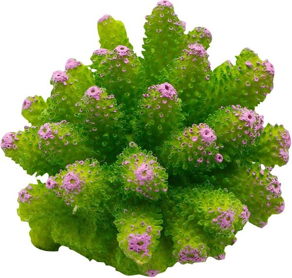 Underwater Treasures Cauliflower Coral Fish Ornament