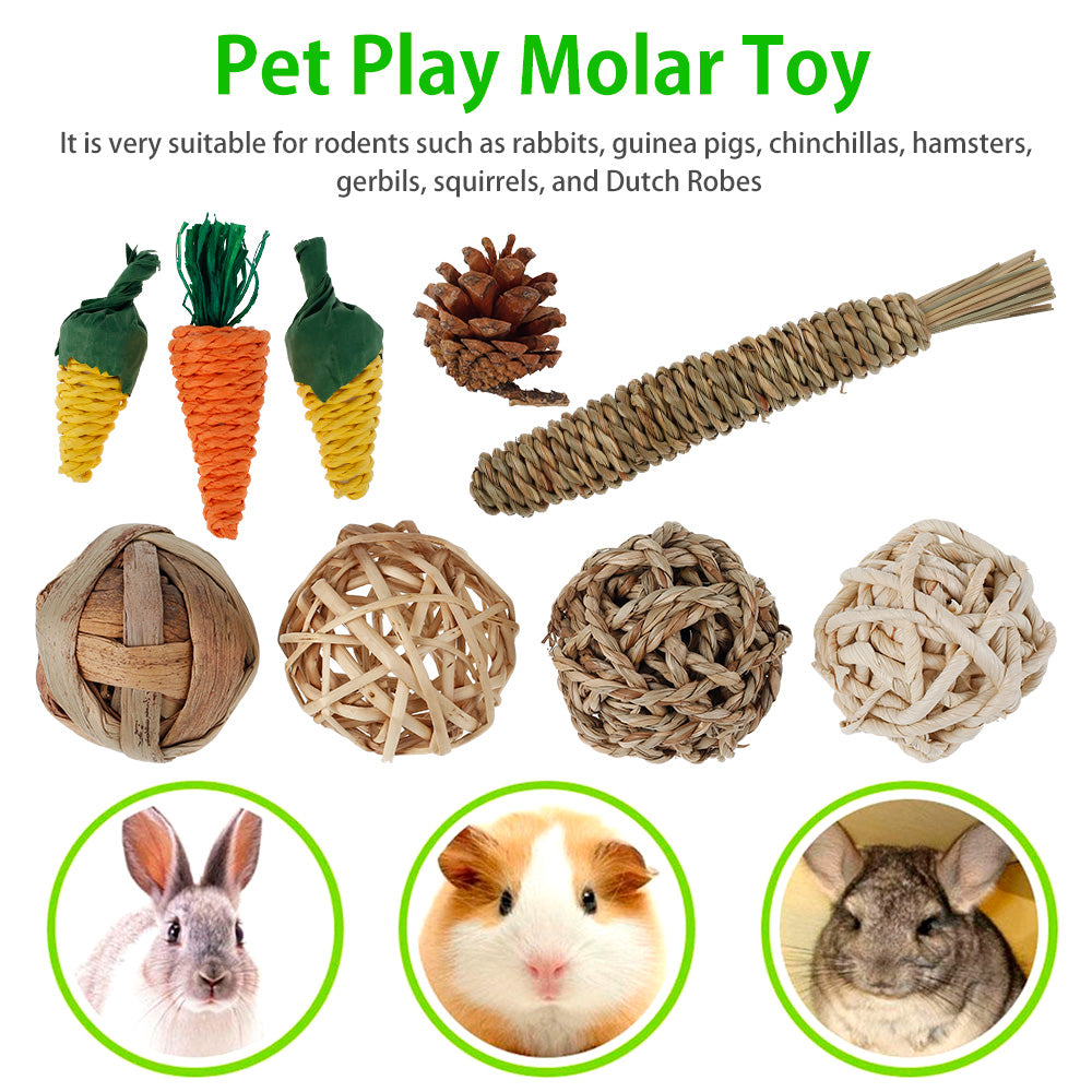 MLfire 9pcs Hamster Chew Toys Pet Teeth Care Molar Toy for Hamster Rat Rabbit Chinchilla Squirrel Small Animals