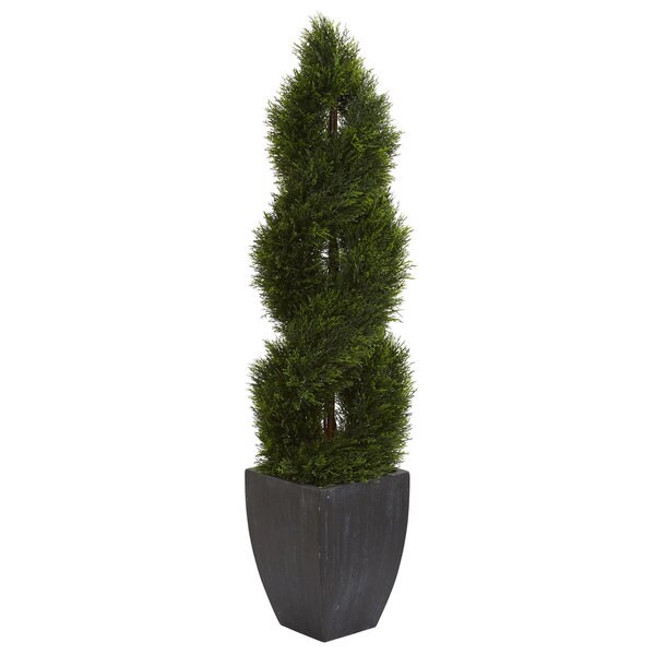 5' Double Pond Cypress Spiral Topiary Artificial Tree in Black Wash Planter UV Resistant (Indoor/Outdoor)