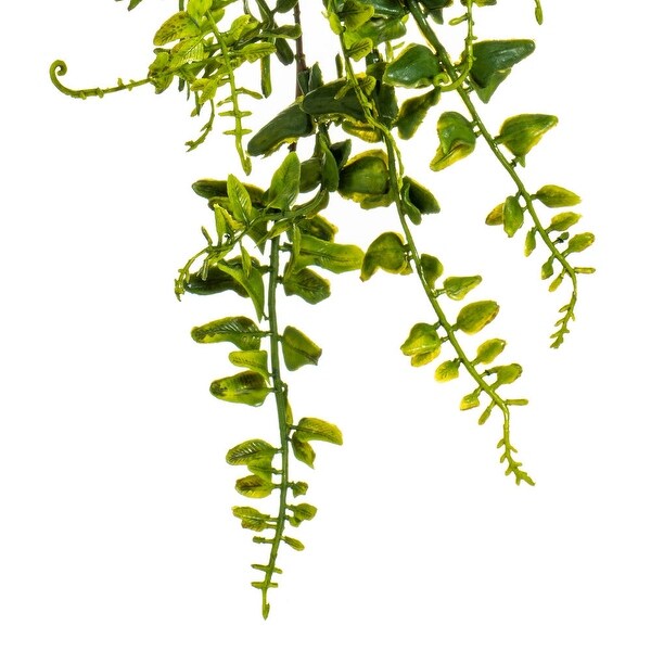 Vickerman 30 Green Bucler Fern Vine