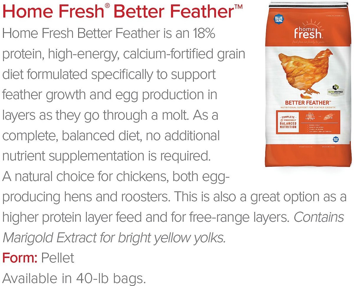 Blue Seal Home Fresh Better Feather Chicken Feed， 40-lb bag