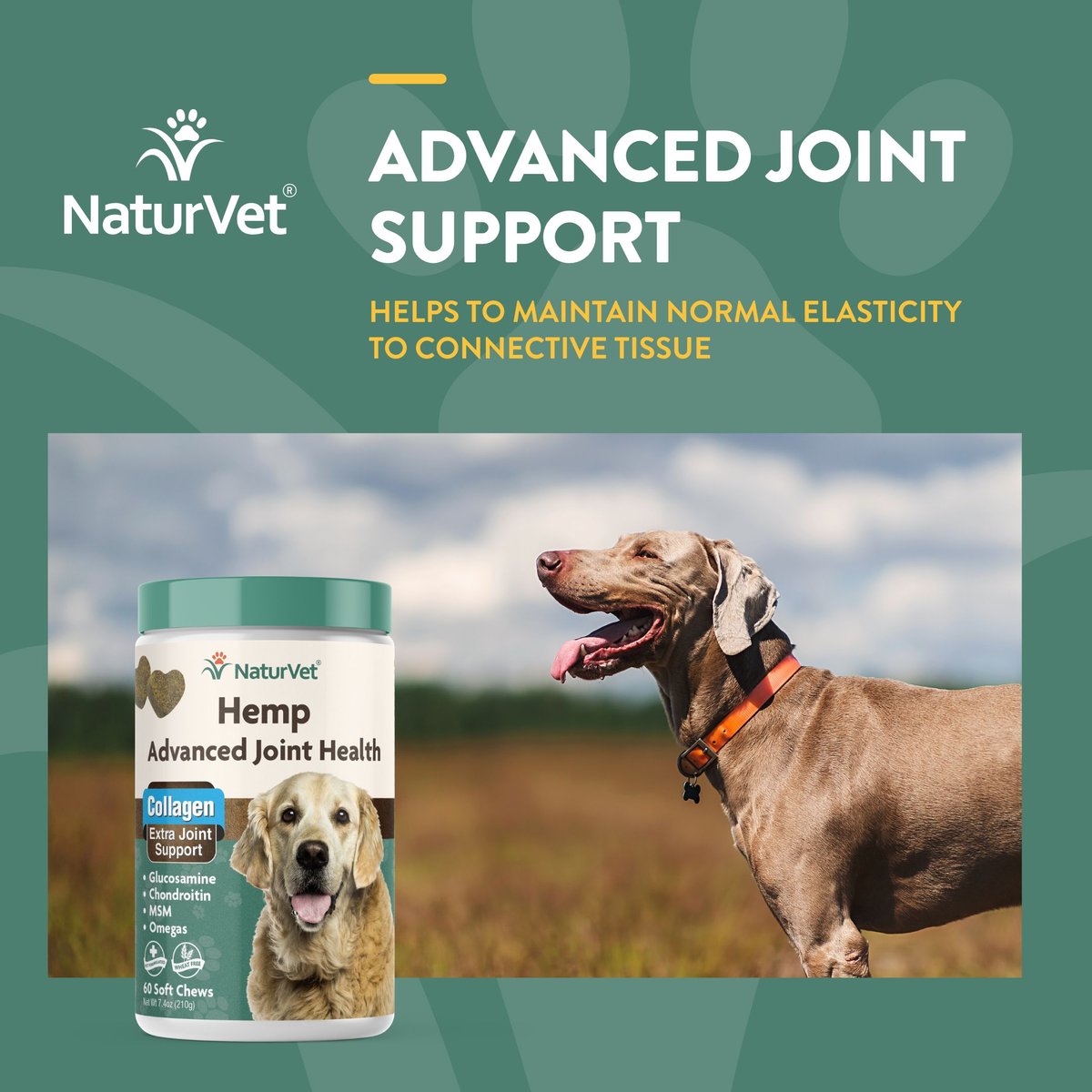 NaturVet Hemp Advanced Joint Health Glucosamine， Chondroitin and MSM Plus Collagen， Extra Joint Support Dog Supplement