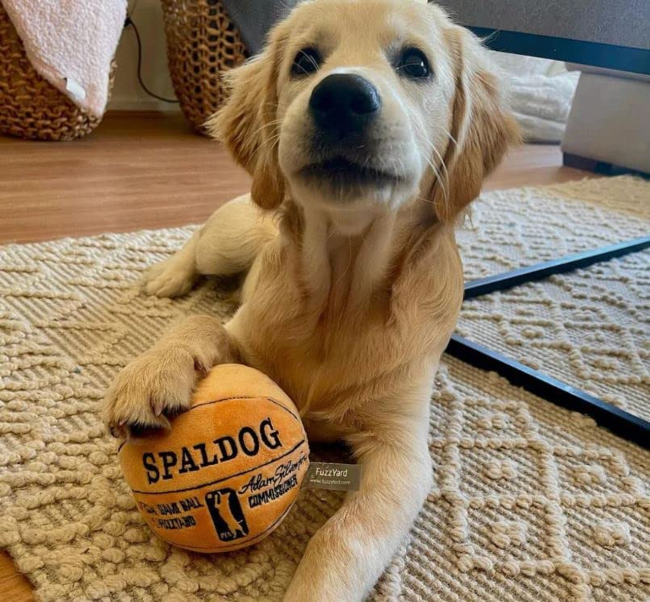 FuzzYard Spaldog Basketball Plush Dog Toy