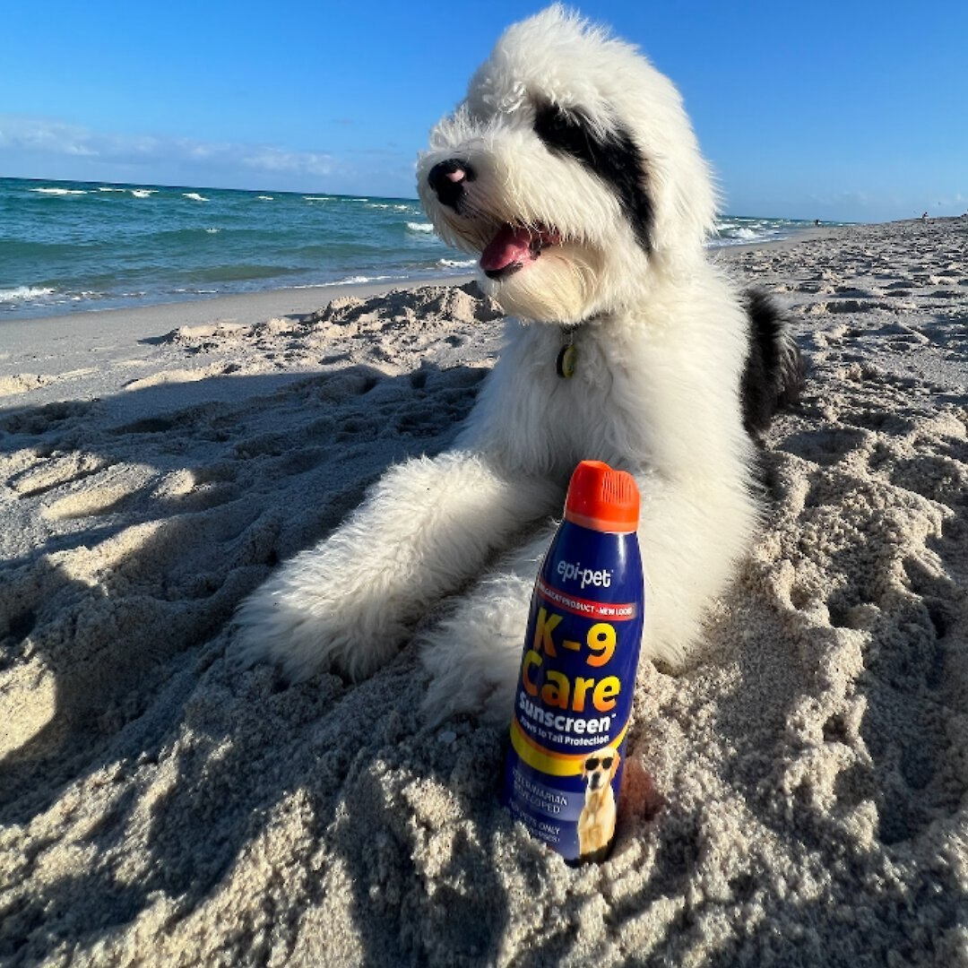 Epi-Pet K-9 Care Sunscreen Spray