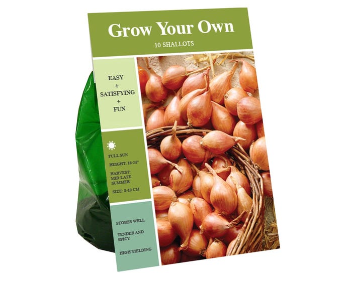 Van Zyverden Inc. Shallots 00938