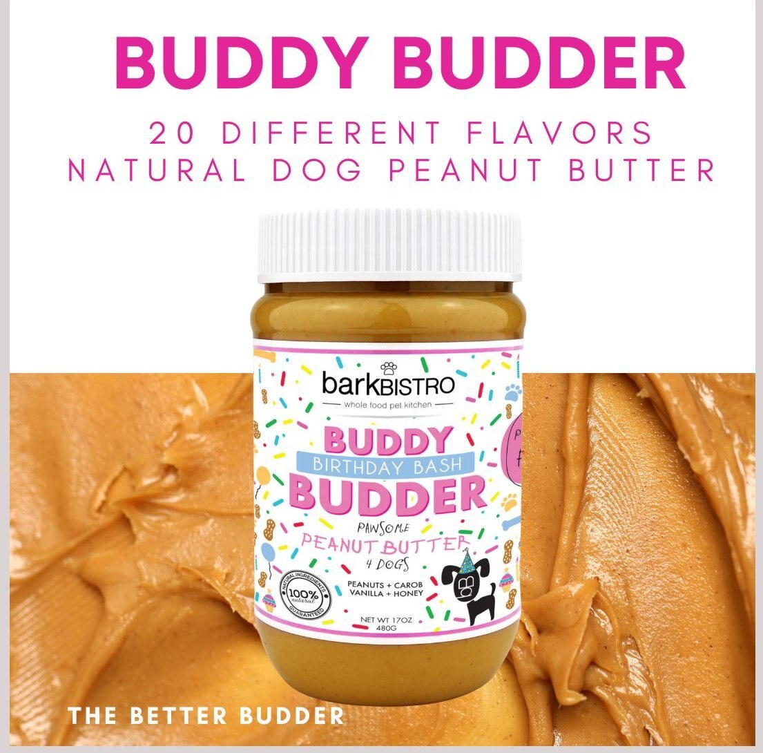 Bark Bistro Company Birthday Bash Buddy Budder Dog Treat， 17-oz jar