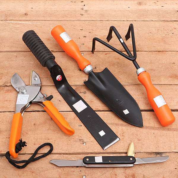 Basic Garden Tool Kit - Gardening Tools