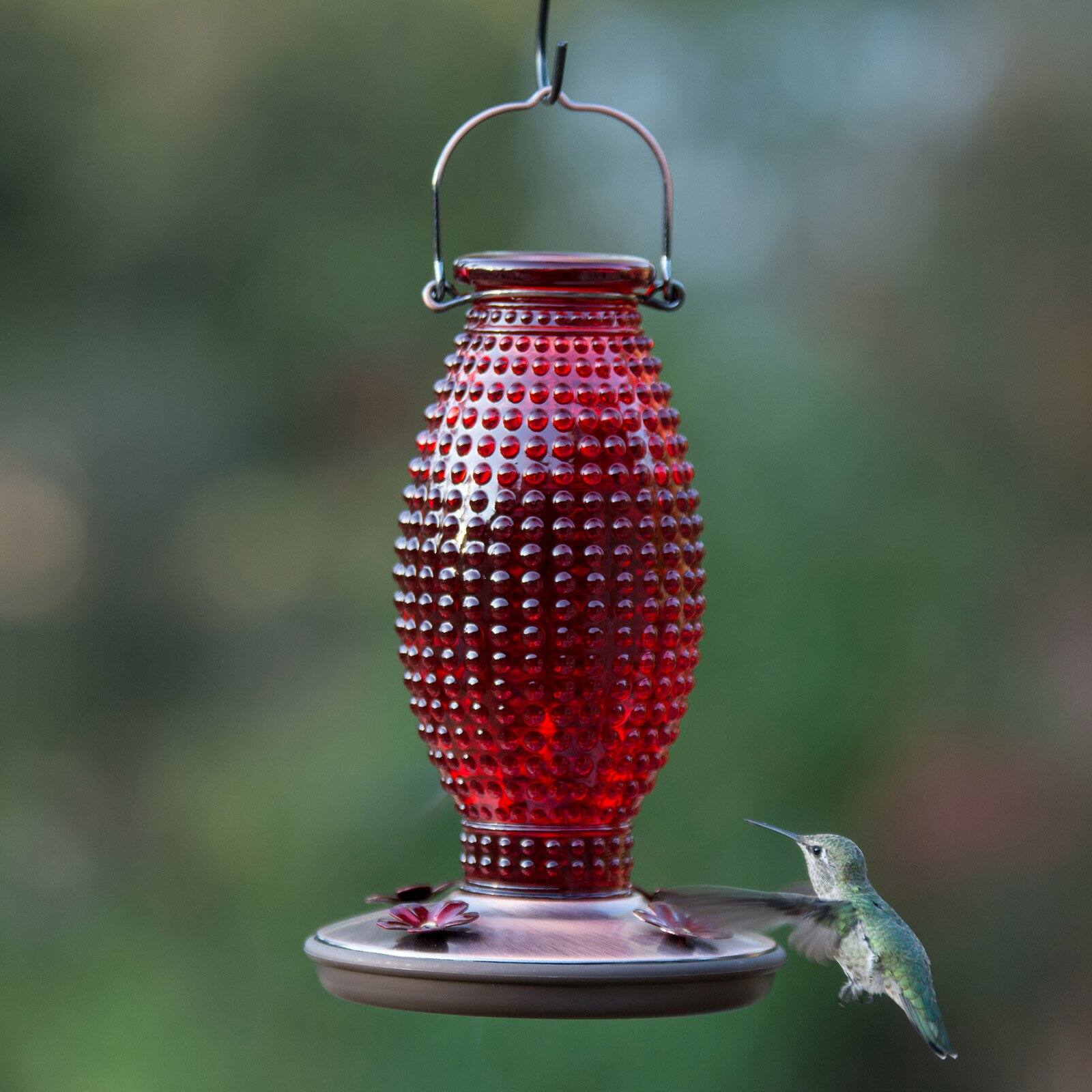 Perky-Pet Red Hobnail Vintage Hummingbird Feeder - 16 oz