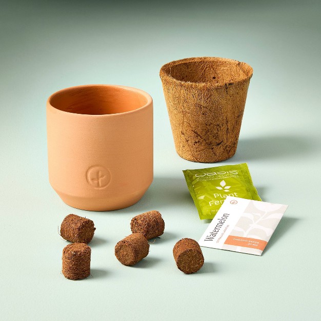 Modern Sprout Tiny Terracotta