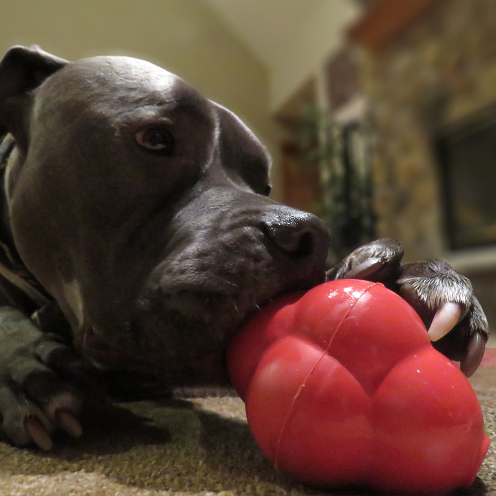 Titan Busy Bounce Durable Rubber Dog Toy， Large， Red