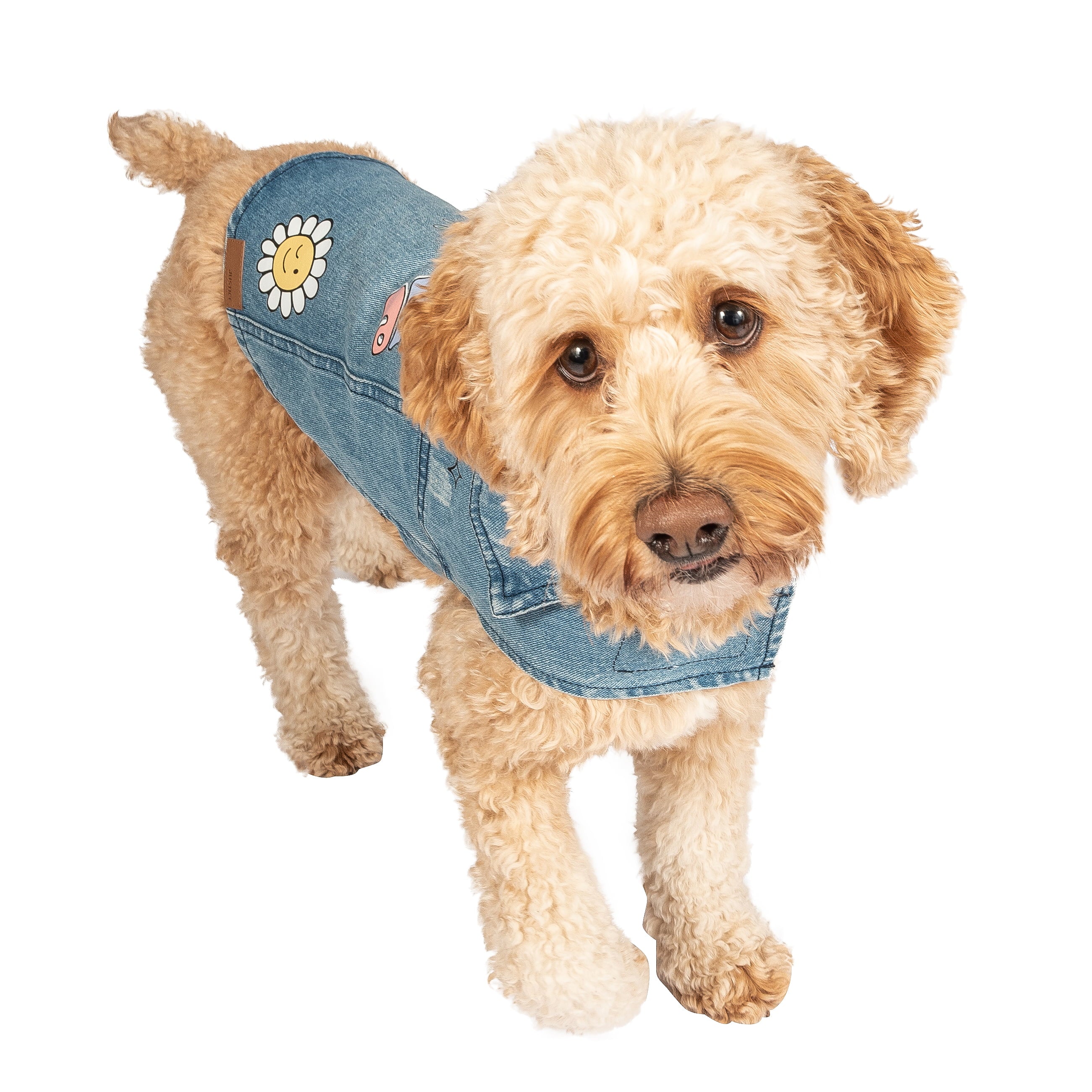 Justice Pet Denim Printed Dog Jacket