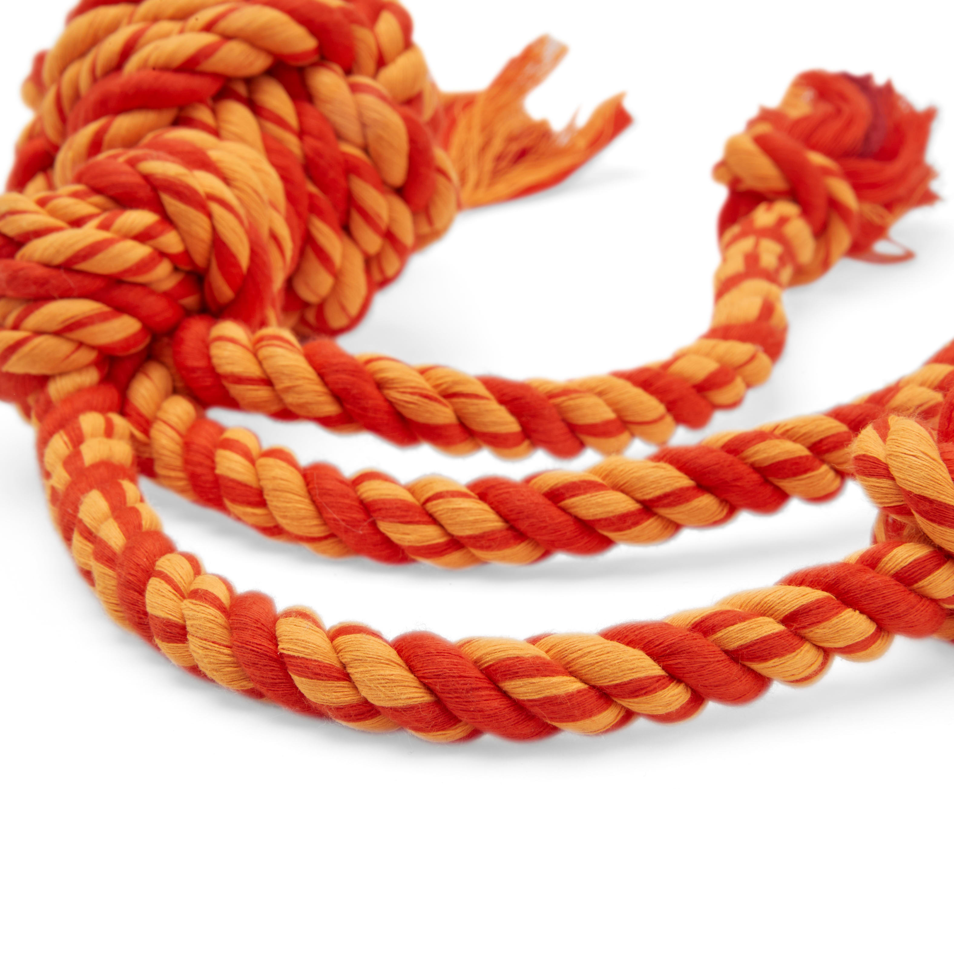 Leaps  Bounds Red  Multicolor Rope Dog Toy， X-Large