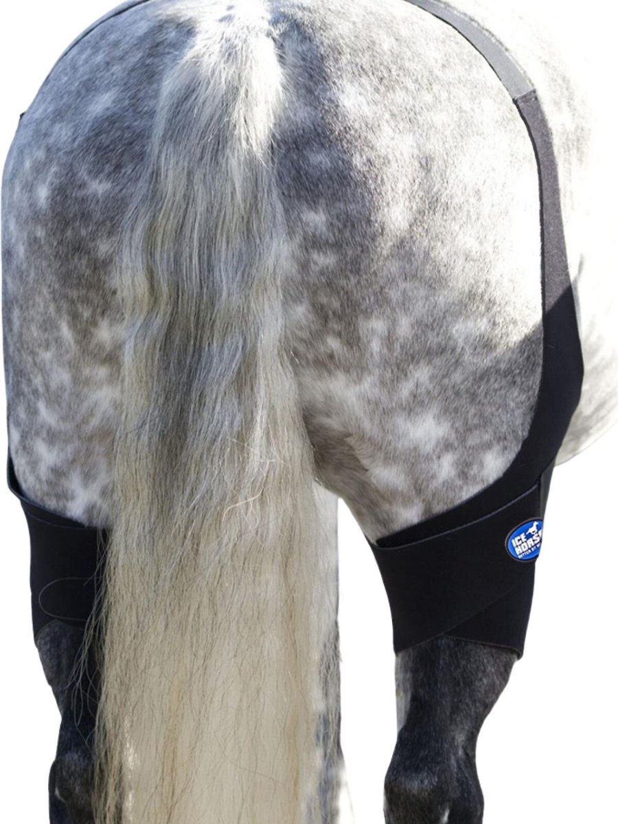 Ice Horse Horse Stifle Wrap， 2 count