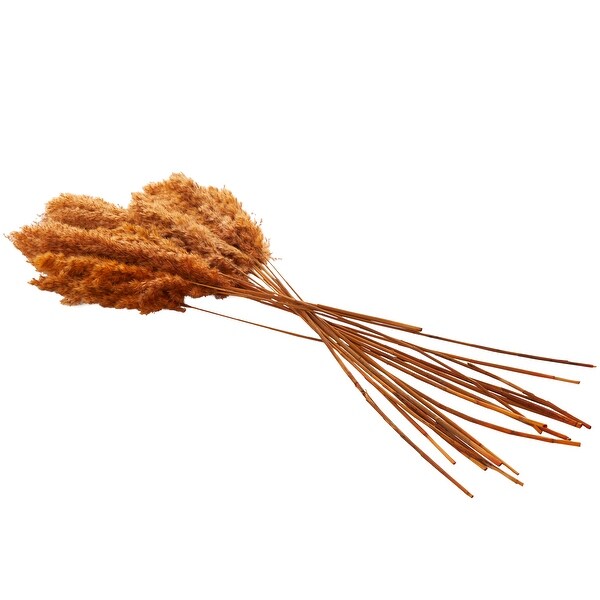 Orange Dried Plant Pampas Home Decor Natural Foliage with Long Stems