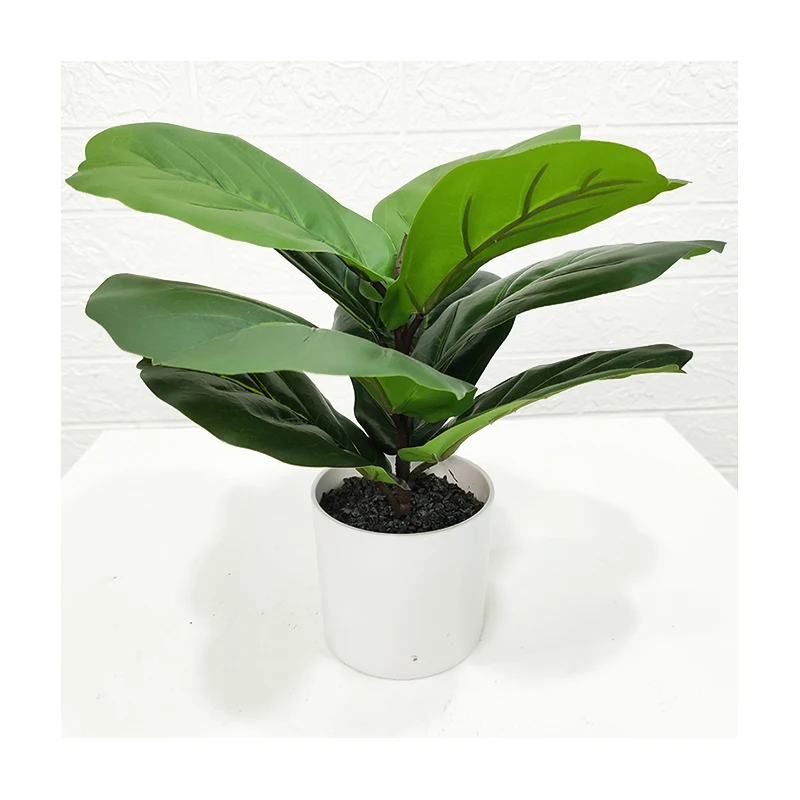 GS QYRXPZ011 2 Garden supplies customization bonsai potted plant faux banyan decoration fiddle leaf fig tree ficus lyrata