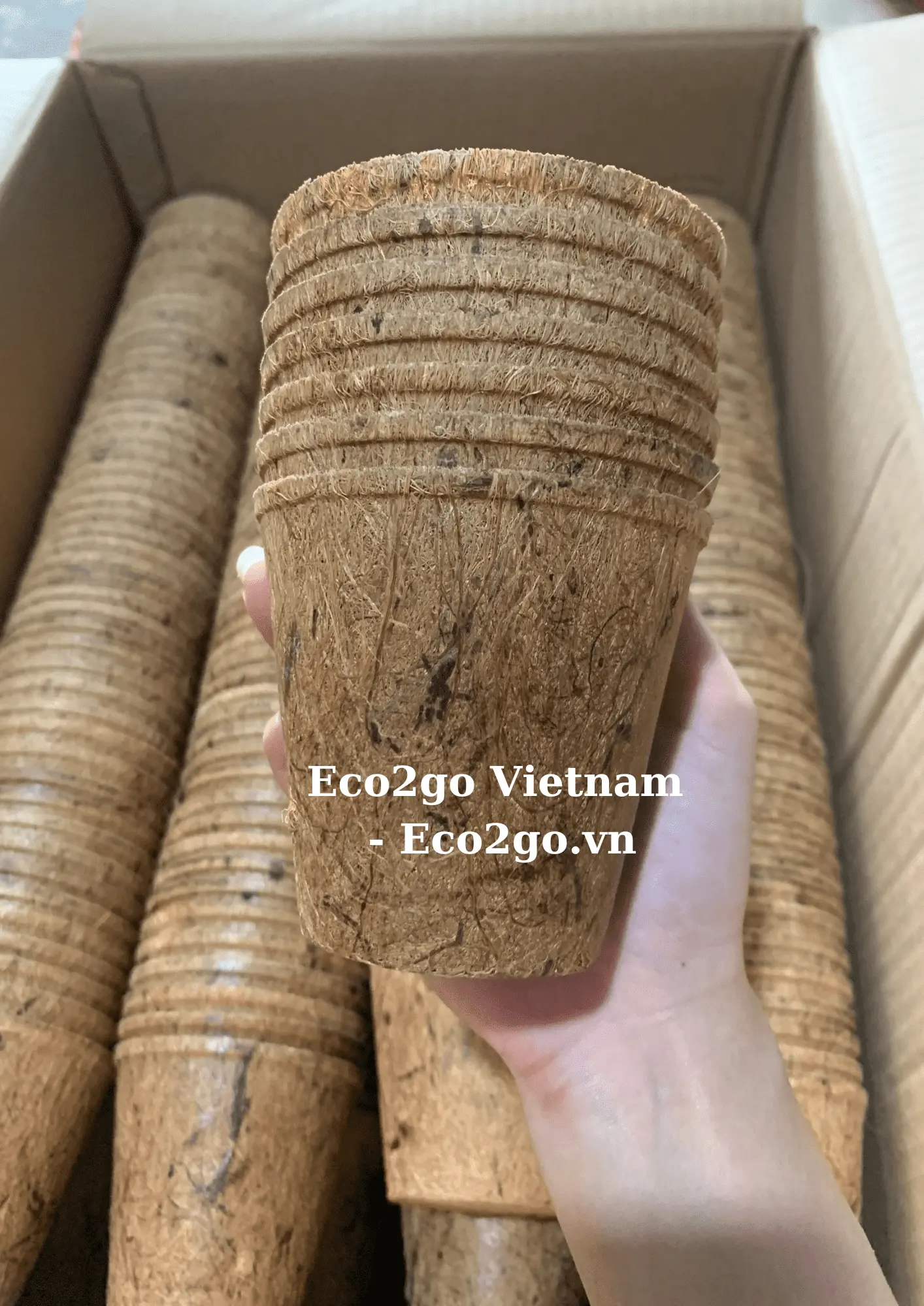 BEST SUPPLY 2023! FOR GARDEN COCONUT FIBER POT/ COCONUT COIR POT/ COCONUT FIBER PLANT POT CHEAPEST PRICE FROM ECO2GO