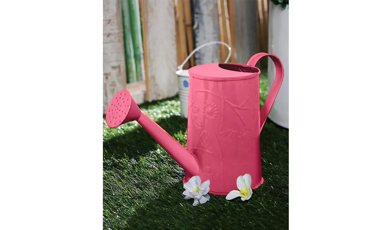 Garden Watering Can Galvanized Simple Metal Water Can