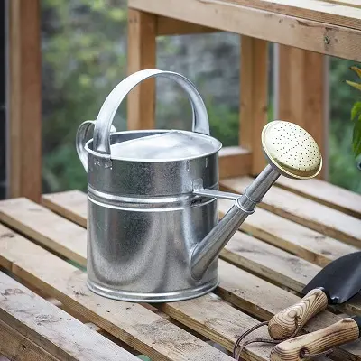 Minimalist Factory Direct Selling Stainless Steel Watering Can With Long Spout Garden Pots For Farmhouse