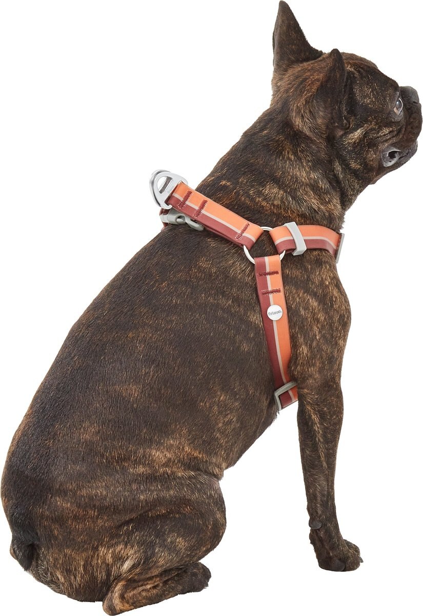 Frisco Outdoor Two Tone Waterproof Stinkproof PVC Dog Harness