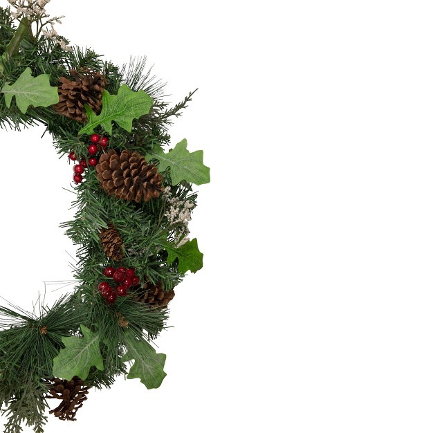 Northlight Decorated Natural Pine And Berry Artificial Christmas Wreath 24 inch Unlit