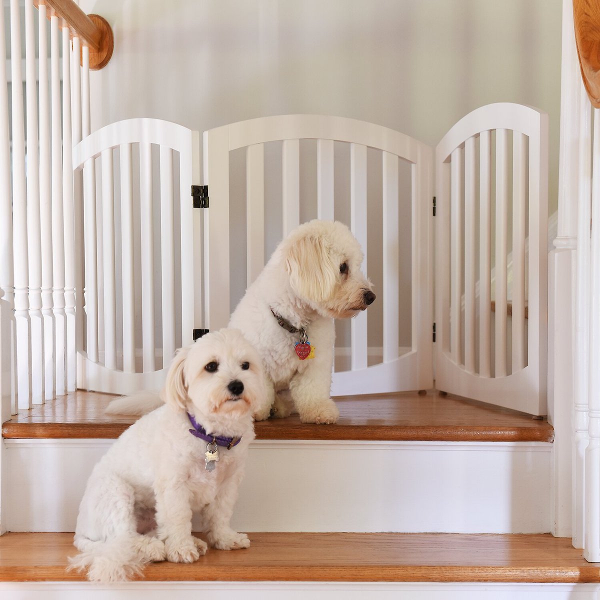 Arf Pets Free-Standing Wood Dog and Cat Gate