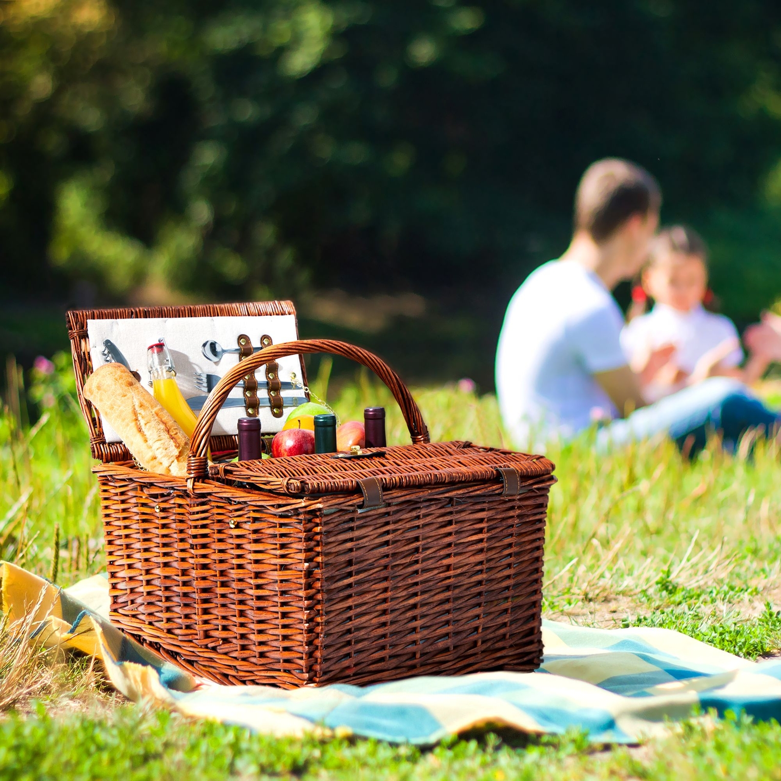 4 Person Wicker Picnic Basket Set with Utensils， Glasses， and Insulated Cooler Bag， Camping Essentials Outdoor Tableware for Family Gatherings