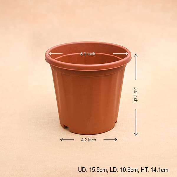 6 inch (15 cm) Grower Round Plastic Pot (Terracotta Color) (set of 6)