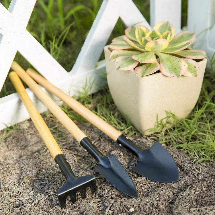 3 Piece Garden Shovel Trowel Small Mini Hand Succulent Wooden Garden Tool Set