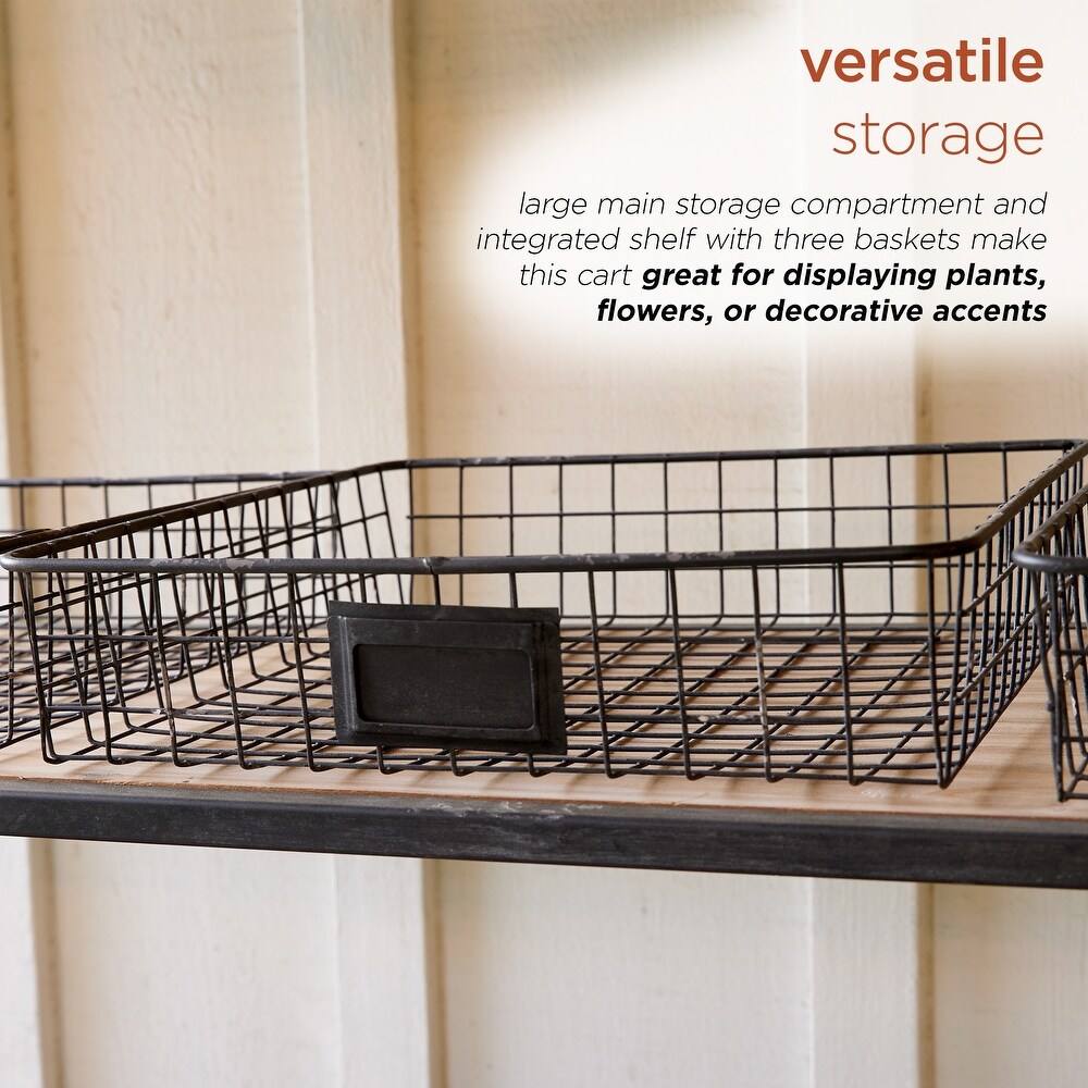 Alpine Corporation Farm Fresh Indoor/Outdoor Metal and Wood Garden Cart  51\